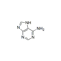 腺嘌呤 Adenine